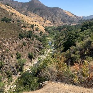 Meet your Posher, Jack